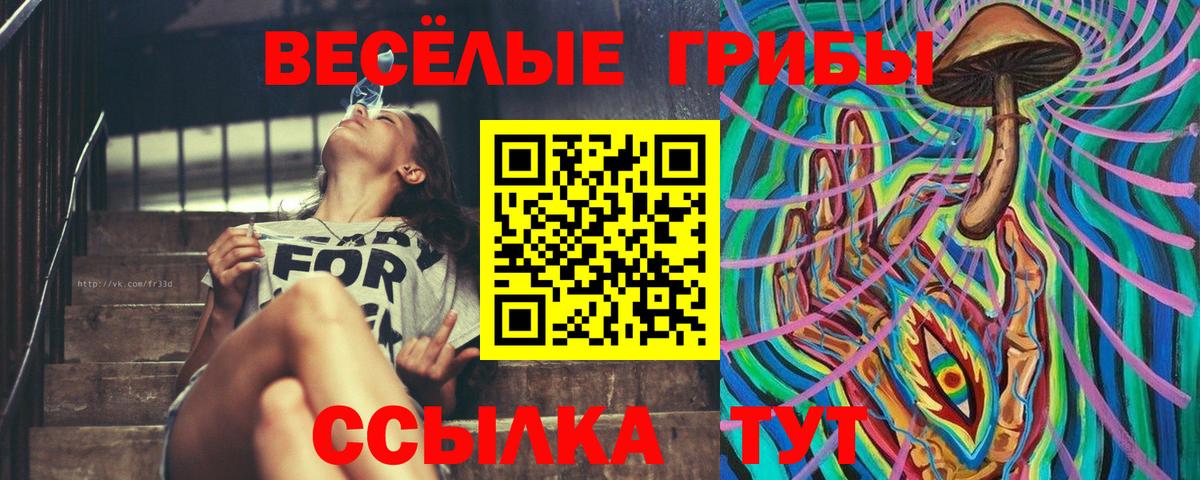 закладки  Галлюциногенные грибы Psilocybine cubensis  Вход с VPN  Мыски  Галлюциногенные грибы прущие грибы 